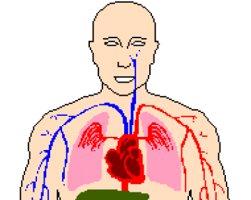 An toàn sức khỏe
