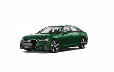 Sơn xe ô tô-Màu Xanh Lá xe Audi-LX6P