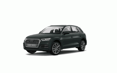 Sơn xe ô tô-Màu Xanh Lá xe Audi-LX6S